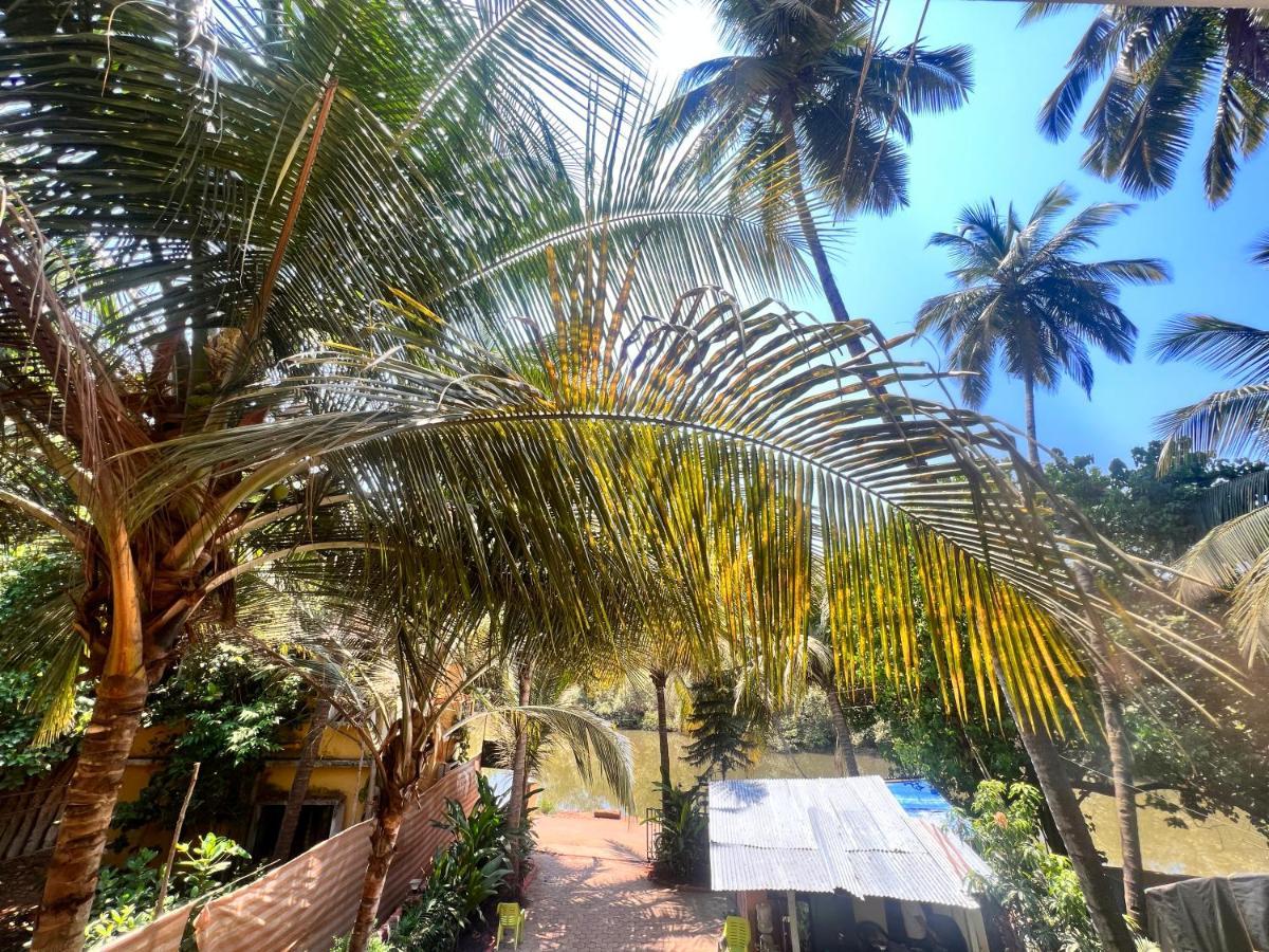 Kyel Villa Guest House Arambol Dış mekan fotoğraf