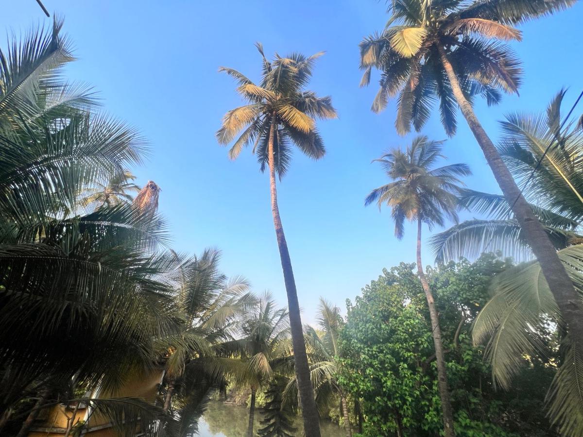 Kyel Villa Guest House Arambol Dış mekan fotoğraf